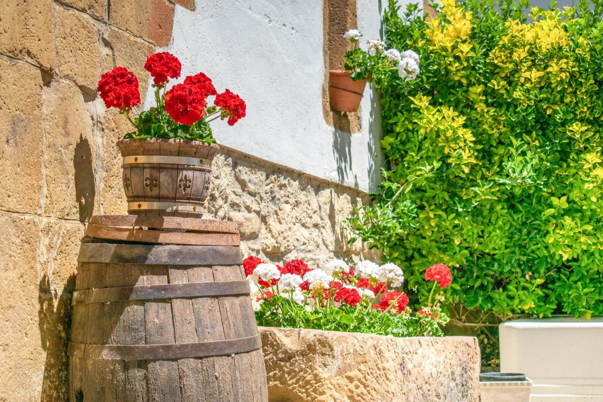 Casa Rural Arotzenia, Hogar Rustico En Pleno Valle De La Ulzama Lizaso Exteriér fotografie