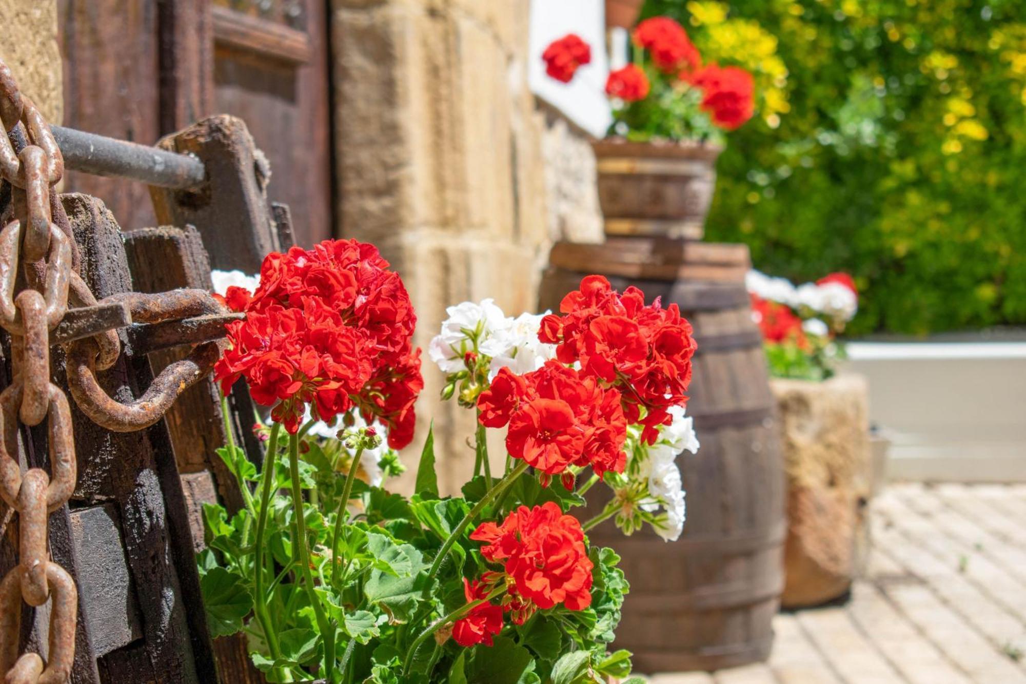 Casa Rural Arotzenia, Hogar Rustico En Pleno Valle De La Ulzama Lizaso Exteriér fotografie